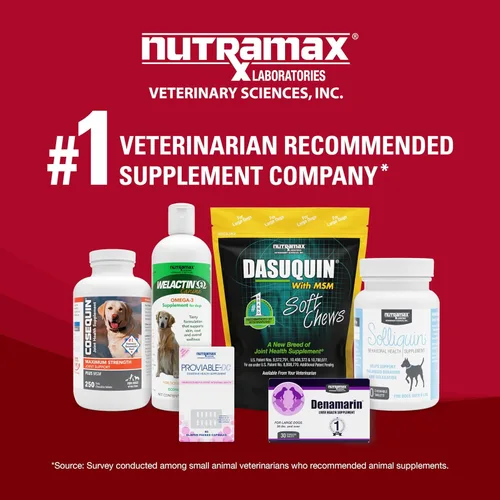 Miniatura 7 de Nutramax Laboratories Crananidin Extracto de Arándano Suplemento para la Salud del Tracto Urinario para Perros, 75 Tabletas masticables