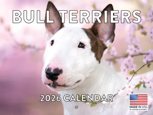 Miniatura 157 de Calendario de pared mensual 2025 Great Dane de 12 meses, fabricado en Estados Unidos