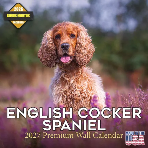 Miniatura 22 de Calendario 2025 2026 de cachorros Cocker Spaniel - Calendario mensual de pared de raza de perro - 12" x 24" abierto - Papel grueso sin sangrado