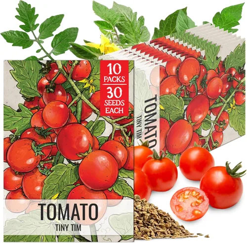 Miniatura 9 de Seed Needs Semillas de tomate cereza negra para plantar, reliquia sin OMG y sin tratar, variedad indeterminada para plantar un huerto al aire libre