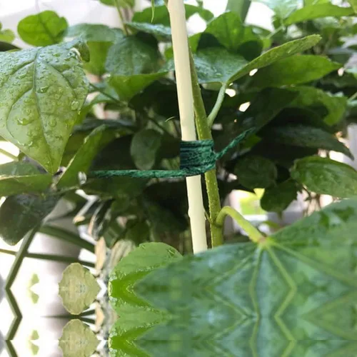 Miniatura 7 de Cuerda de jardín verde de 656 pies, cuerda de yute natural, cuerda de yute resistente, cuerda de Navidad para manualidades, jardinería, floristería