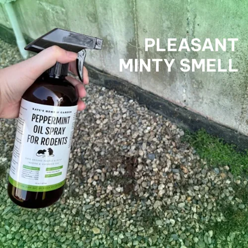 Miniatura 8 de Kate Naturals Spray de aceite de menta para roedores, ratones, murciélagos, ratas, motores de automóviles, ratones