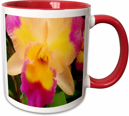 Miniatura 8 de 3dRose Florene Flores – Gorgeous Orquídea – Tazas, Negro/Blanco