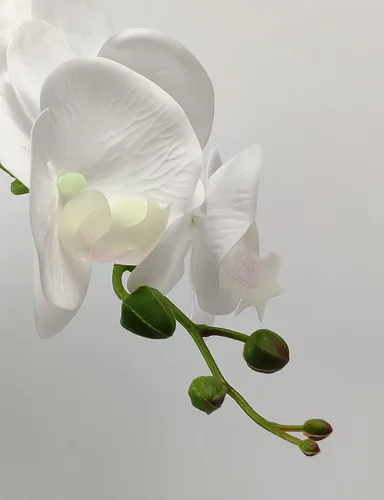 Miniatura 4 de W&W Arreglo de plantas y flores de orquídeas artificiales en maceta de cerámica, orquídea blanca falsa con jarrón plateado, orquídeas falaenopsis