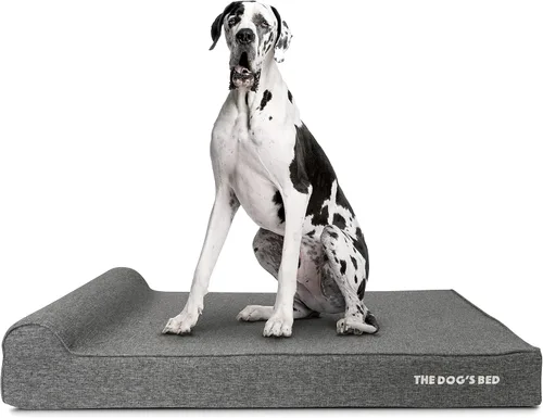 Miniatura 40 de The Dog's Bed - Cama Ortopédica para Perros con Reposacabezas XL Negra de Felpa, Espuma Viscoelástica, Alivio del Dolor para Artritis, Displasia