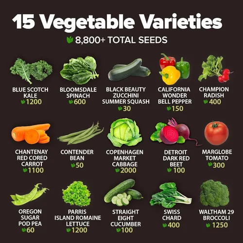 Miniatura 3 de 15 semillas de verduras autóctonas – Más de 7,000 semillas de supervivencia y equipo esencial de preparación de emergencia, semillas de verduras sin