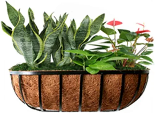Miniatura 7 de Revestimientos para cesta de ventana de 30 pulgadas, preformado, revestimiento de coco y coco con tierra húmeda para cesta de ventana