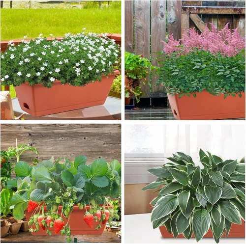 Miniatura 5 de Macetero rectangular con agujeros de drenaje y bandejas, 8 unidades, macetas de plástico para ventana de 17 pulgadas, macetas de plástico para Rojo