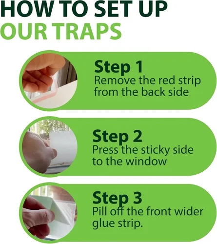 Miniatura 4 de Greenway - Trampas adhesivas para moscas de ventana, para mosquitos y moscas, control de moscas no tóxico, seguro para niños y mascotas, perfecto