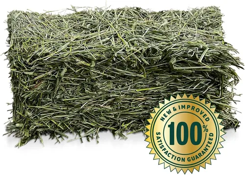 Miniatura 2 de Eaton Pet and Pasture Cultivado Naturalmente, Premium, Mezcla de Primer Corte, Mezcla Western Timothy Hay Orchard, Alimento para Animales Pequeños