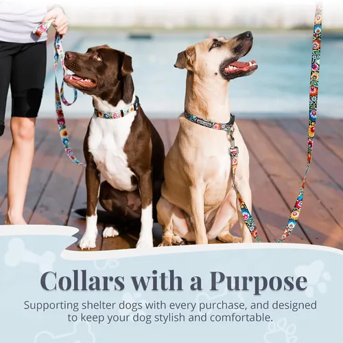 Miniatura 7 de Lucky Love Dog - Collar para perras pequeñas, diseño Blackbird de estampado alegre con flores de primavera y verano, talla XS