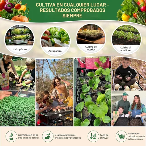 Miniatura 7 de Paquete variado de 75 semillas de verduras y verduras, kit de inicio de semillas de jardín, más de 44,700 semillas de reliquia sin OMG para plantar
