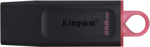 Kingston DataTraveler Exodia 256GB USB 3.2 Flash Drive DTX/256GB, Negro