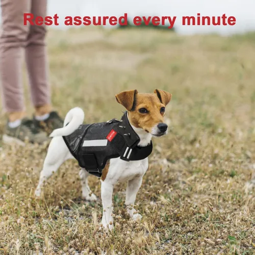 Miniatura 6 de Arnés de protección para perros, placa de acero ligera y flexible integrada contra ataques de coyote, halcón, raptor y aves de presa