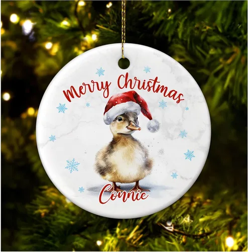 Hyturtle Adorno de Navidad personalizado para amantes de los patos, adorno de cerámica con nombre personalizado de pato – Lindo regalo para amantes