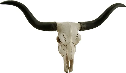 Zeckos Escultura de pared de calavera de trofeo Longhorn de 20 pulgadas en negro y hueso, hecha a mano - Cabeza de buey falsa realista con detalles