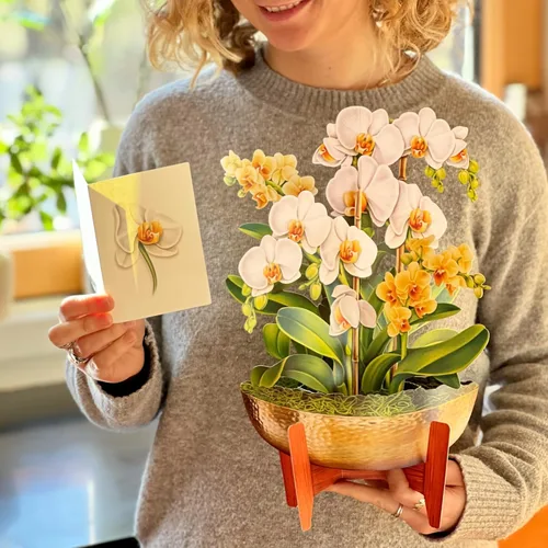 Miniatura 8 de Freshcut Paper Tarjetas desplegables, Serenity Orchid, ramo de flores eternas Forever Flower de tamaño real de 12 pulgadas, tarjeta de felicitación