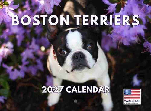Miniatura 111 de Calendario de pared mensual 2025 Great Dane de 12 meses, fabricado en Estados Unidos