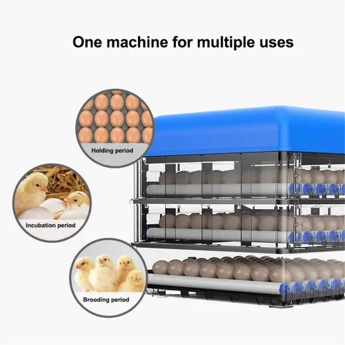 Miniatura 6 de Incubadora de huevos, incubadoras digitales totalmente automáticas, control automático de temperatura de torneado de huevos, pantalla LED