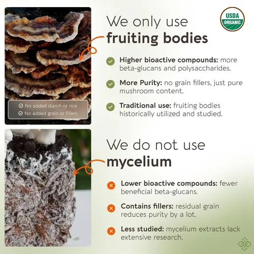 Miniatura 5 de Extracto de suplemento orgánico de hongos en polvo de cola de pavo 3.53 oz Trametes Versicolor Cuerpo fructífero ≥50% Beta-D-Glucanos 60