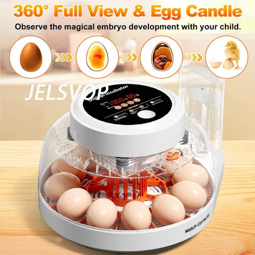 Miniatura 3 de Incubadora de huevos mejorada para incubar huevos, capacidad de 12 huevos con girador automático de huevos, control de temperatura y humedad, vela