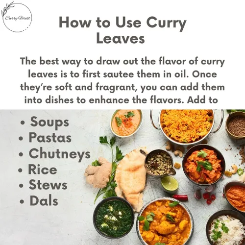 Miniatura 6 de CurryForest Hojas de curry secas de primera calidad, 100% naturales, sin pesticidas, cultivadas en Estados Unidos, secado al aire, 0.35-0.53 oz