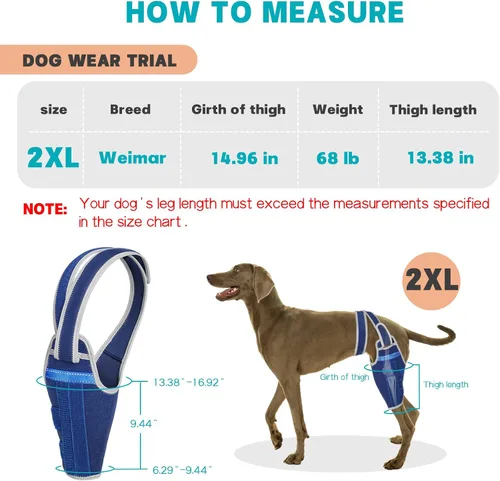 Miniatura 4 de Rodillera para perro para pierna trasera desgarrada del ligamento cruzado anterior, soporte ajustable para pierna trasera con 2 estabilizadores