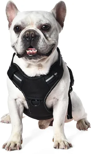 Miniatura 3 de Amazon Basics Arnés para perro sin tirones, clip frontal ajustable, chaleco táctico, pequeño, negro