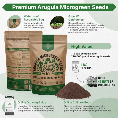 Miniatura 2 de Organo Republic Semillas de Rúcula para Germinación y Microgreens - Kit de Semillas de Brotes Sin OGM, Reliquia, Bolsa Resellable de 1 libra