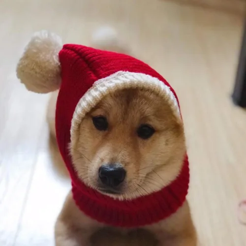 Miniatura 9 de POPETPOP Sombrero de Navidad para perro, cálido gorro de invierno para cachorros, grueso, pequeño, de punto, para gato, Navidad, diadema, ropa