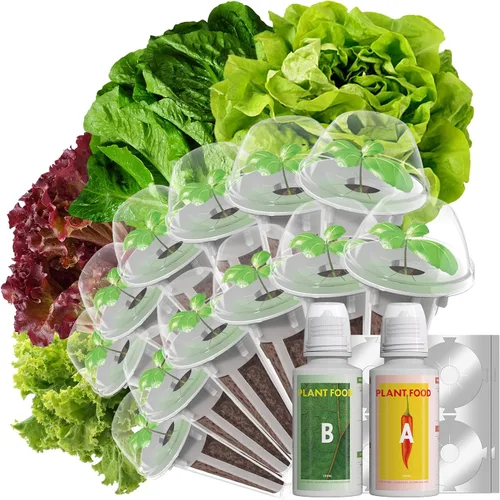 Miniatura 13 de Vainas de semillas de flores y frutas LYKOCLEAN para AeroGarden, Ahopegarden, sistema de cultivo hidropónico iDOO para interiores, 350 semillas+
