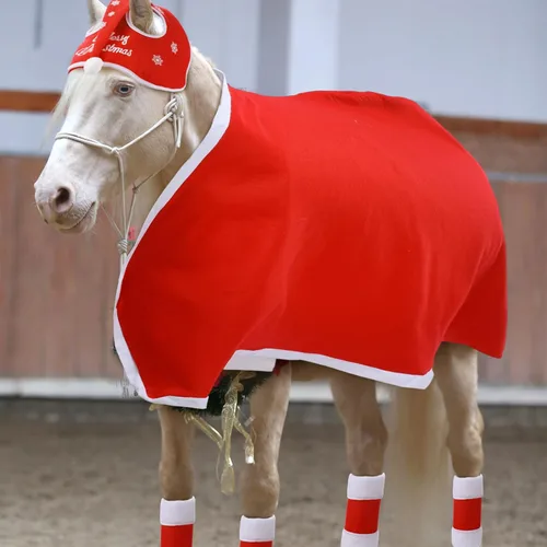 Miniatura 3 de Paquete de 6 accesorios de disfraz de caballo de Navidad que incluyen envolturas de caballo, piernas, caballo, Papá Noel, manta de silla de montar