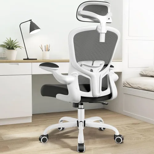 Miniatura 10 de FelixKing Silla de Oficina Ergonómica Silla de Escritorio con Reposacabezas, Silla de Escritorio de Respaldo Alto con Soporte Lumbar Ajustable y Gris