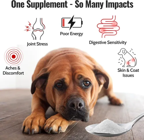 Miniatura 2 de MSM puro para perros y gatos Cristales MSM 99.9% puros Azufre orgánico para apoyo articular, movilidad, piel y pelaje 100% libre de aditivos
