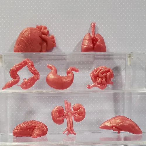 Miniatura 4 de Moldes de silicona con forma de órganos humanos, 8 unidades, molde de silicona para cerebro y corazón, para hígado, pulmón intestinal, chocolate