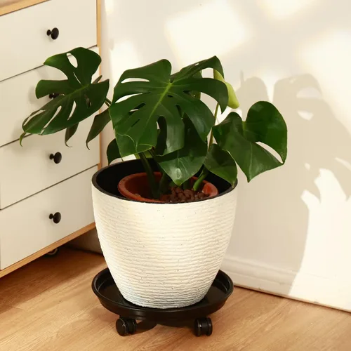 Miniatura 5 de Paquete de 5 organizadores grandes para plantas con ruedas de poliuretano, soportes rodantes de plantas de 12 pulgadas, base de rodillos de plástico