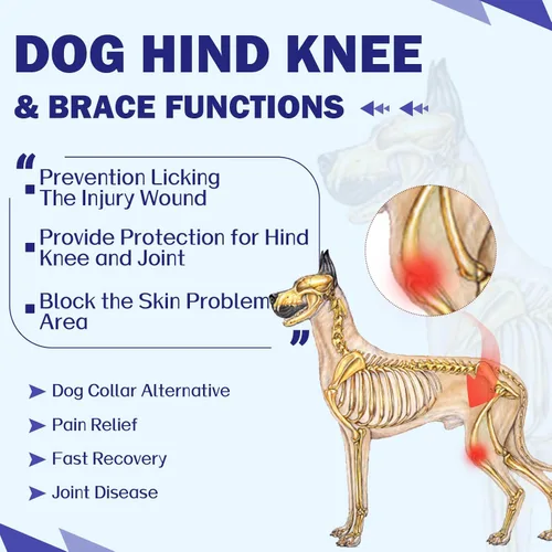 Miniatura 8 de ROZKITCH Manga de pierna para cirugía para perros, piernas traseras, macho y hembra para evitar lamer heridas, codo, rodillera, traje de Azul