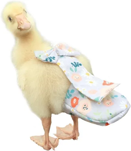 Pañales de pato, pañales de pollo, pañales especiales para aves de corral, pollo, pato y ganso impermeables, pañales ajustables, lavables y