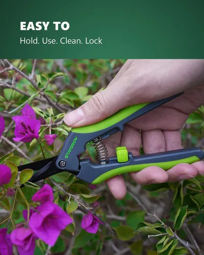 Miniatura 3 de Tijeras de podar de 6.5 pulgadas para jardinería, tijeras afiladas para cortar plantas para cortes precisos, tijeras de jardín de acero inoxidable