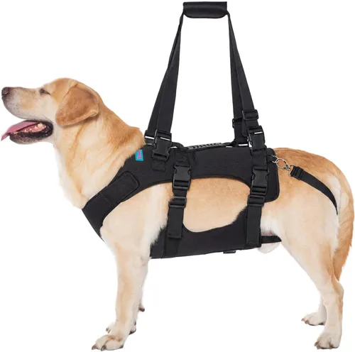 Arnés de elevación para perros, chaleco de elevación de rehabilitación para perros, correa de apoyo y recuperación, correas de elevación ajustables