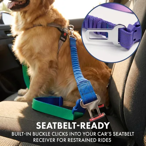 Miniatura 4 de Spark Paws - Correa de perro manos libres, correa elástica para la cintura que absorbe los golpes para correr, clip para cinturón de seguridad