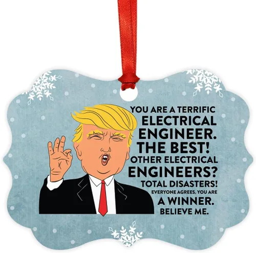 Miniatura 142 de Andaz Press Presidente Donald Trump Fancy Frame Recuerdo Adorno de Navidad Regalo de broma Ejecutivo de Cuenta, 1 paquete, Divertidas Ideas