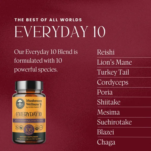 Miniatura 12 de Mushroom Wellness Everyday 10: Cápsulas orgánicas de hongos 10 en 1 con melena de león, shiitake, reishi, cola de pavo y más, suplemento en polvo