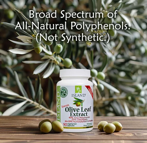 Miniatura 5 de Extracto real de hoja de olivo europeo super fuerte, 25% oleuropein, 0,018 oz, 90 cápsulas, más complejo hidroxitirosol. Fuerza profesional por