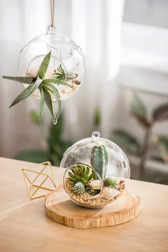 Miniatura 2 de Mkono Paquete de 5 macetas de vidrio colgantes para plantas de aire, decoración de terrario para suculentas, Tillandsia, portavelas
