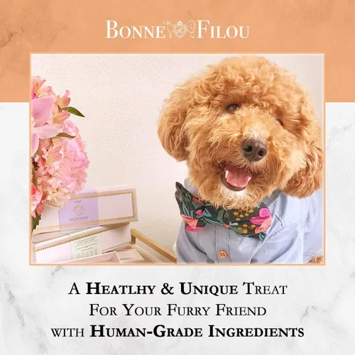 Miniatura 5 de Bonne et Filou Golosinas para perros, pasteles de calabaza, regalo de cumpleaños para perros de raza mediana a grande – Pasteles de macarrón