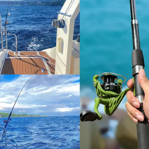 Miniatura 2 de Paquete de 2 cañas de pescar, combos de caña de pescar con caña de pescar telescópica, carretes giratorios, bolsa de transporte de pesca para Verde