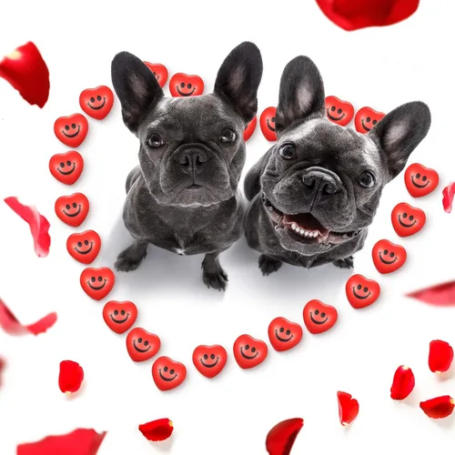 Miniatura 5 de Yaomiao 48 bolas de estrés con forma de corazón a granel, mini bolas de espuma con forma de corazón, alivio del estrés, juguetes para compañeros
