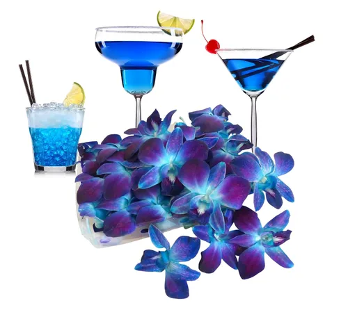 Miniatura 5 de Miami Fresh Orchid Flower OrchidClub USA Sunne Tropical Loose Bloom Head DIY Lei Food Drink Decoración AZUL (100 AZUL REAL)