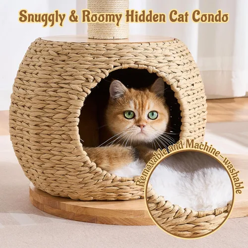 Miniatura 4 de Moderna torre de árbol para gatos de interior, madera maciza de 30 pulgadas y ratán para gatos con postes rascadores y auto arreglado, cama de felpa
